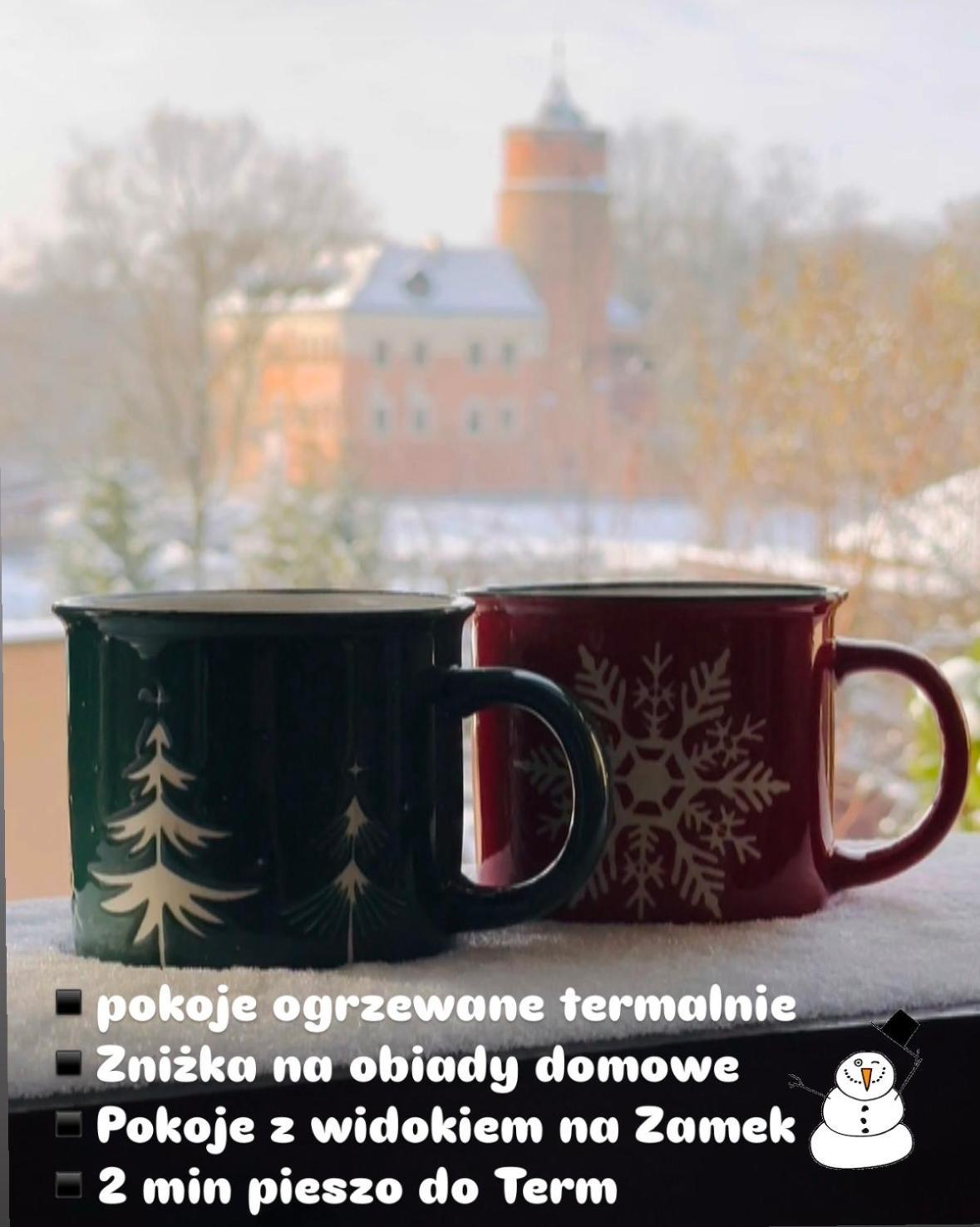 Pokoje Przy Bulwarach Uniejow Luaran gambar